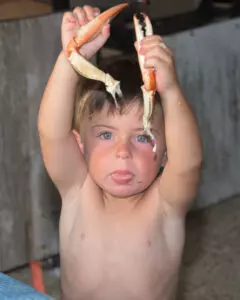 young boy holding two crab claws